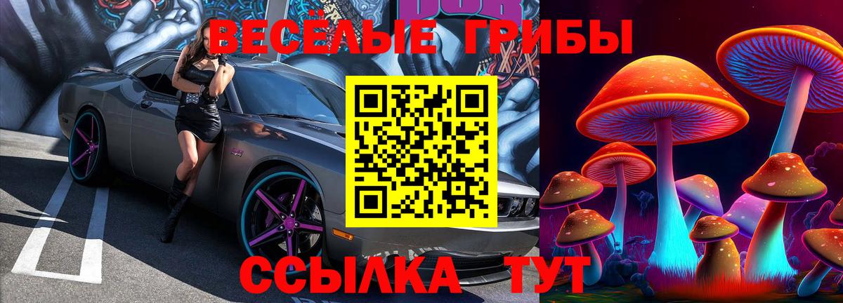 Дмитров  закладка  Вход с VPN  Галлюциногенные грибы прущие грибы 