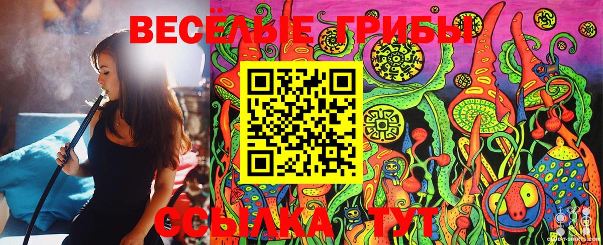 Галлюциногенные грибы MAGIC MUSHROOMS Дмитров